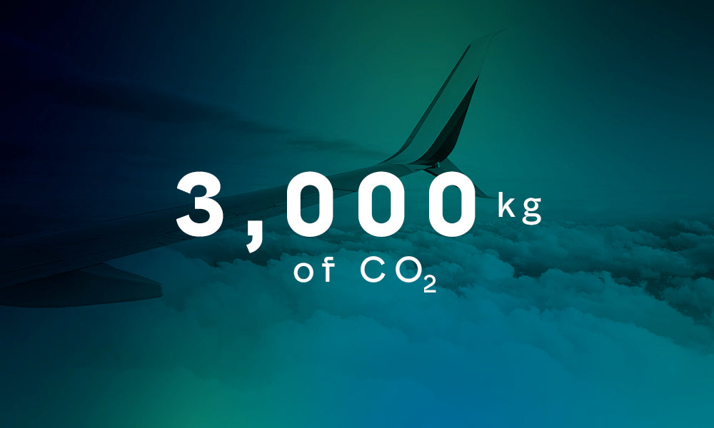 Three Tonnes CO2 Removed Effectively