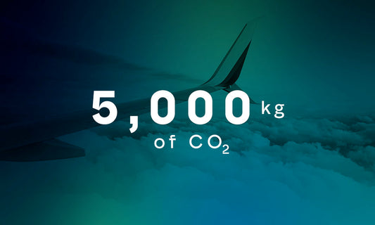 Five Tonnes CO2 Removed Effectively