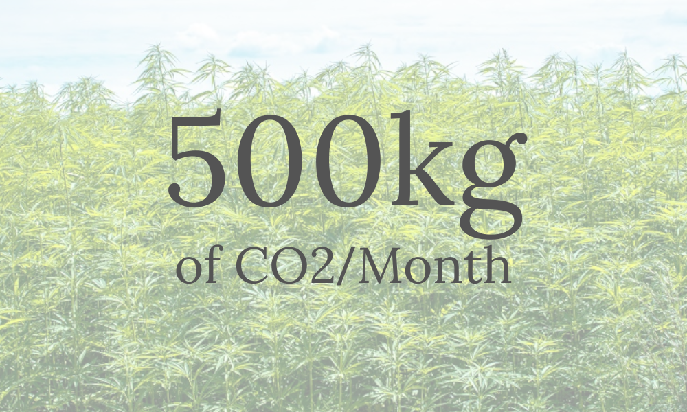 500kg CO2 every Month
