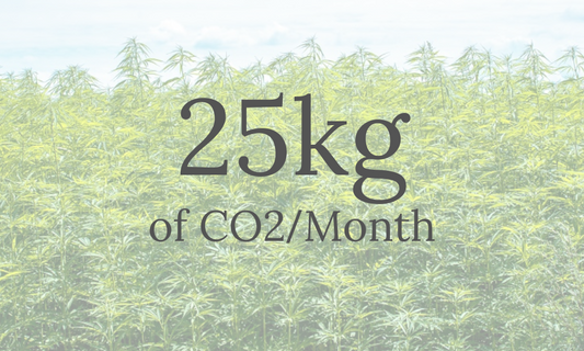 25kg CO2 every Month