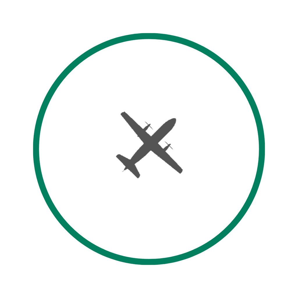Regional Flight - 1 Hour